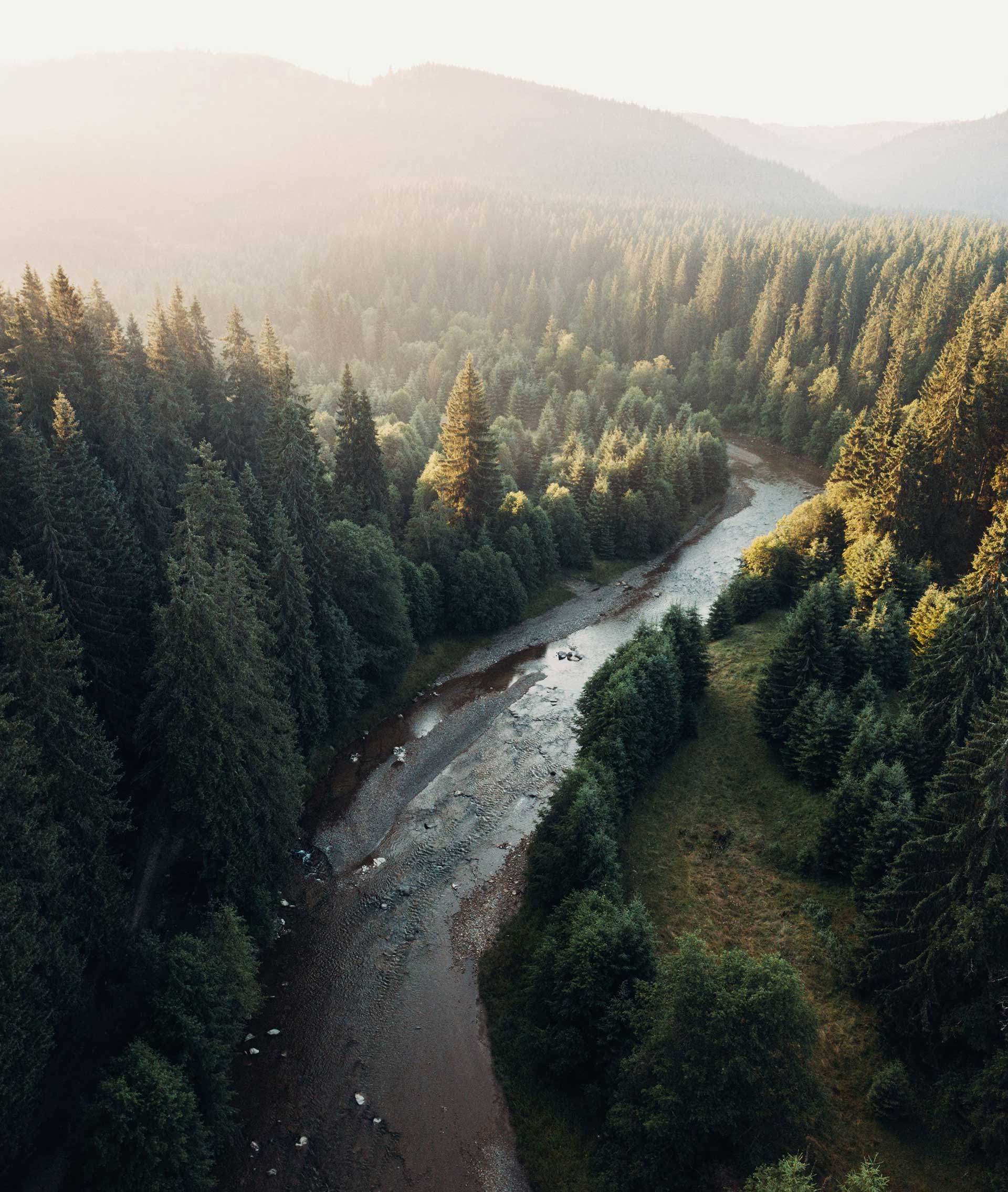 Aerial view of the mountain river in the forest. Drone photography