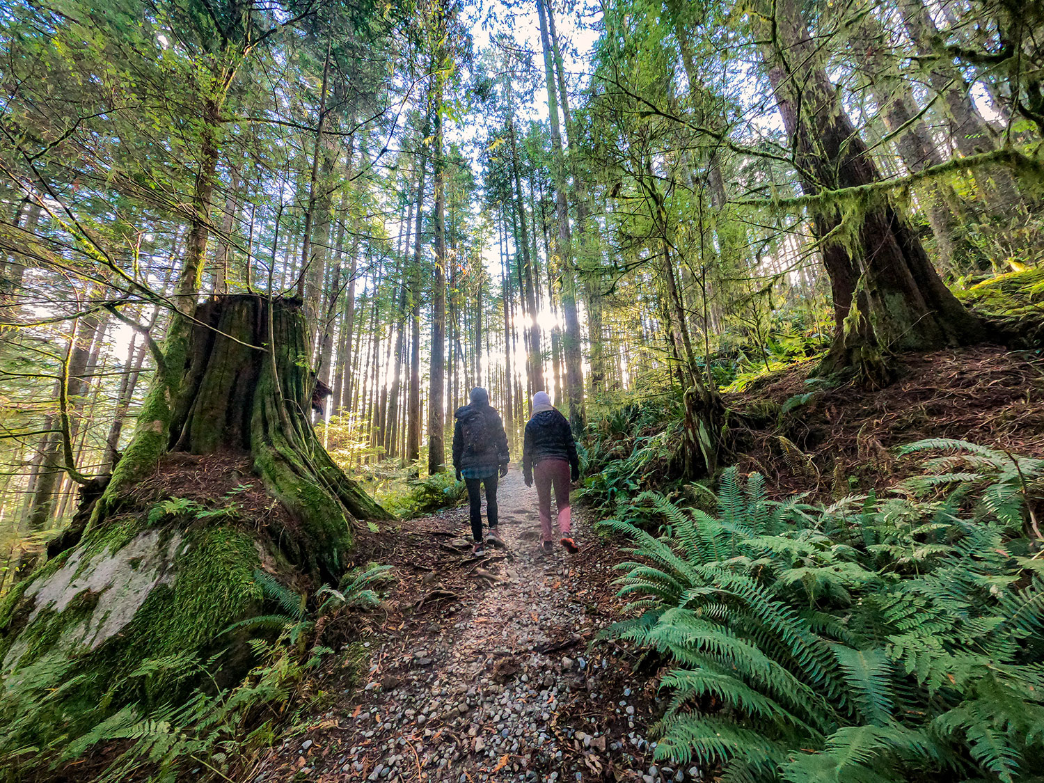 mother and daughter hiking up a hill in the forest